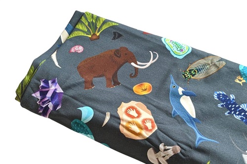 Click to order custom made items in the Natural History fabric